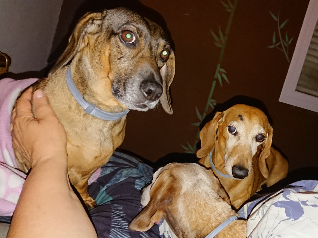 [Image: DSC-0681.jpg]