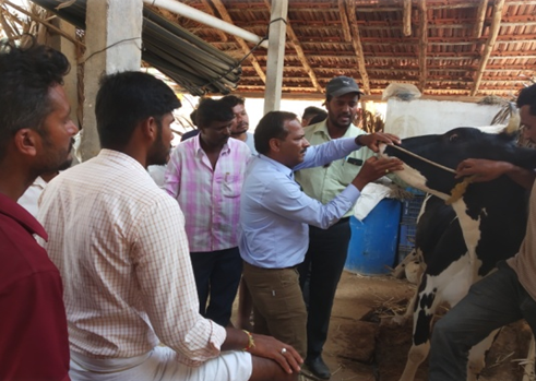 Live demo - Identification of Disease in Cattle