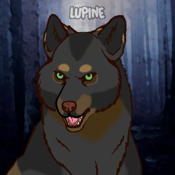 9CEBA626-BE8B-4DFF-98D9-DDC03FA55D80