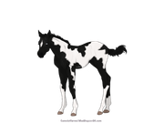 E6F04A30-FB57-491A-BEC9-16A892FA4D36