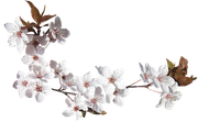 Winter-White-Elements-132