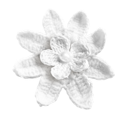 Winter-White-Elements-11