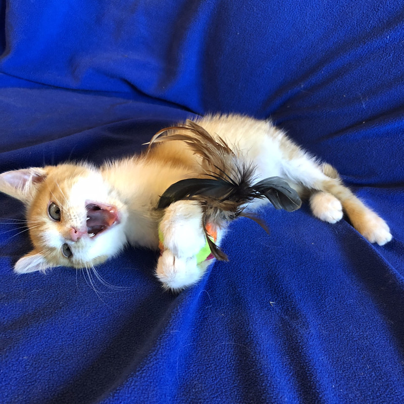 0B679F54-4C3F-4F3C-9AED-9C27FAF07AC3