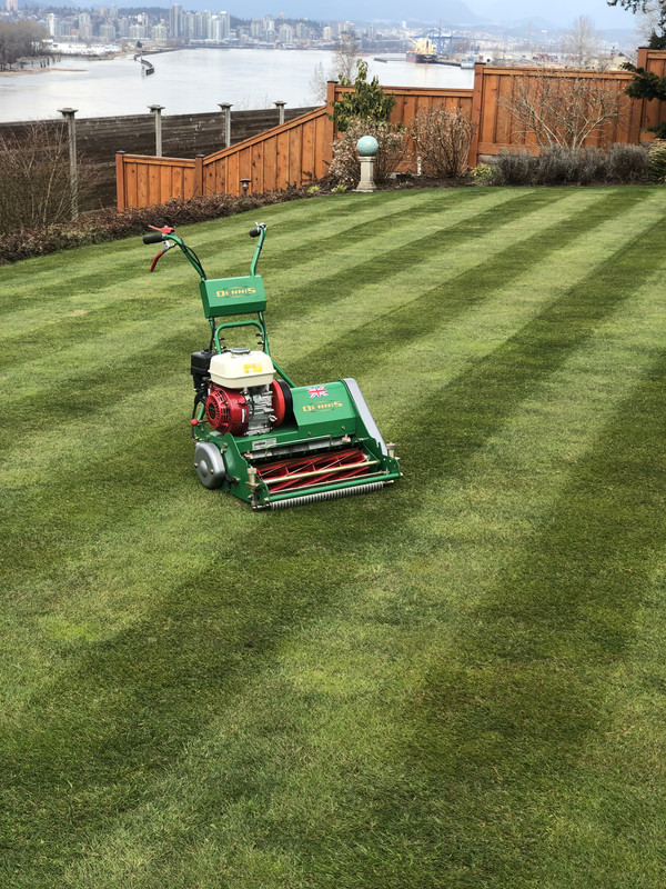 My fancy Dennis: First impression | Lawn Care Forum