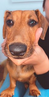 [Image: 7-E1-C8-D40-2639-4-D08-AB8-D-4-C0-F030-AFD48.jpg]