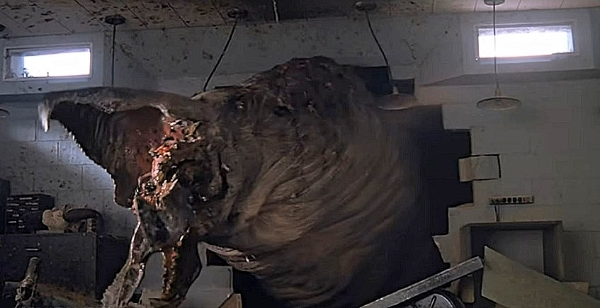 BIBI-BESCH-TREMORS-GRABOID-10-A-FOTOR.jpg