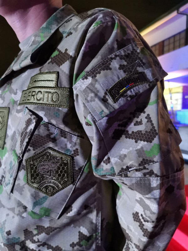 Proyecto Camaleón Bicentenario004