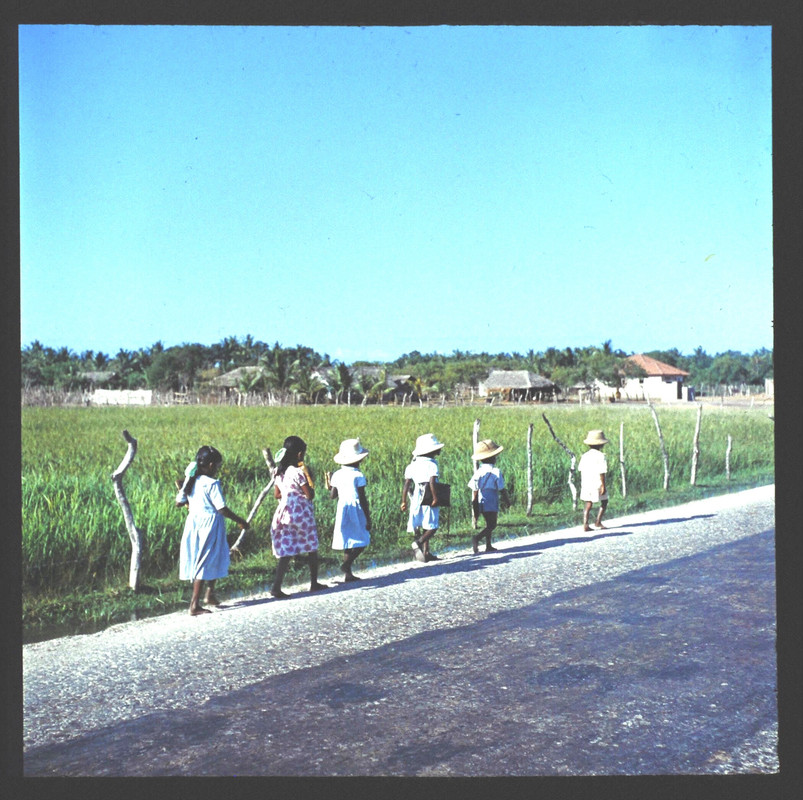 CD6-B59-A9-E08-F-40-A6-9-A38-E0-C33-A7-DD4-C0.jpg