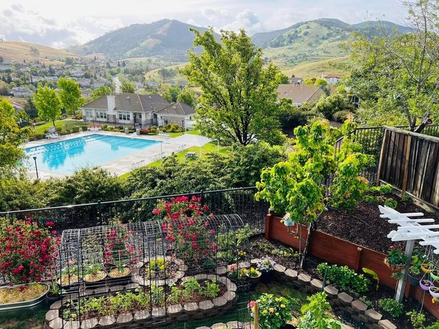 [Image: E375030-D-0-C3-A-4-F78-8-E58-C4-D15268-F650.jpg]