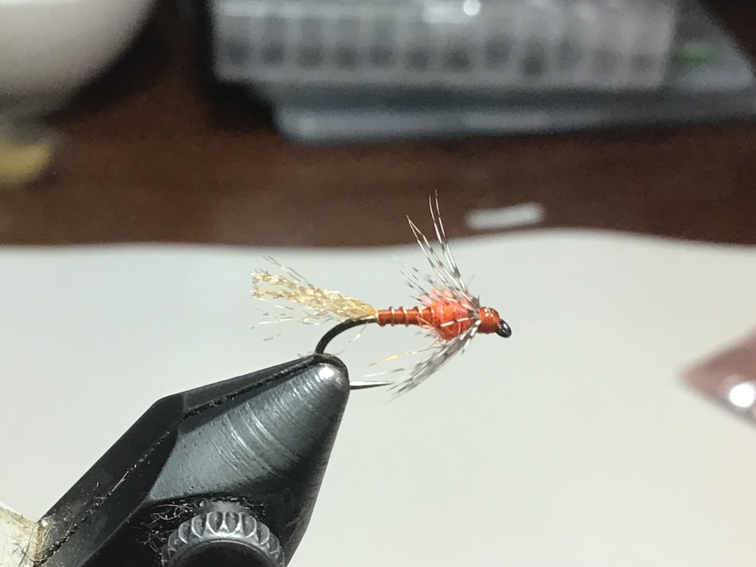 0FBE9527-D235-4481-ADD5-6E66DED7802A