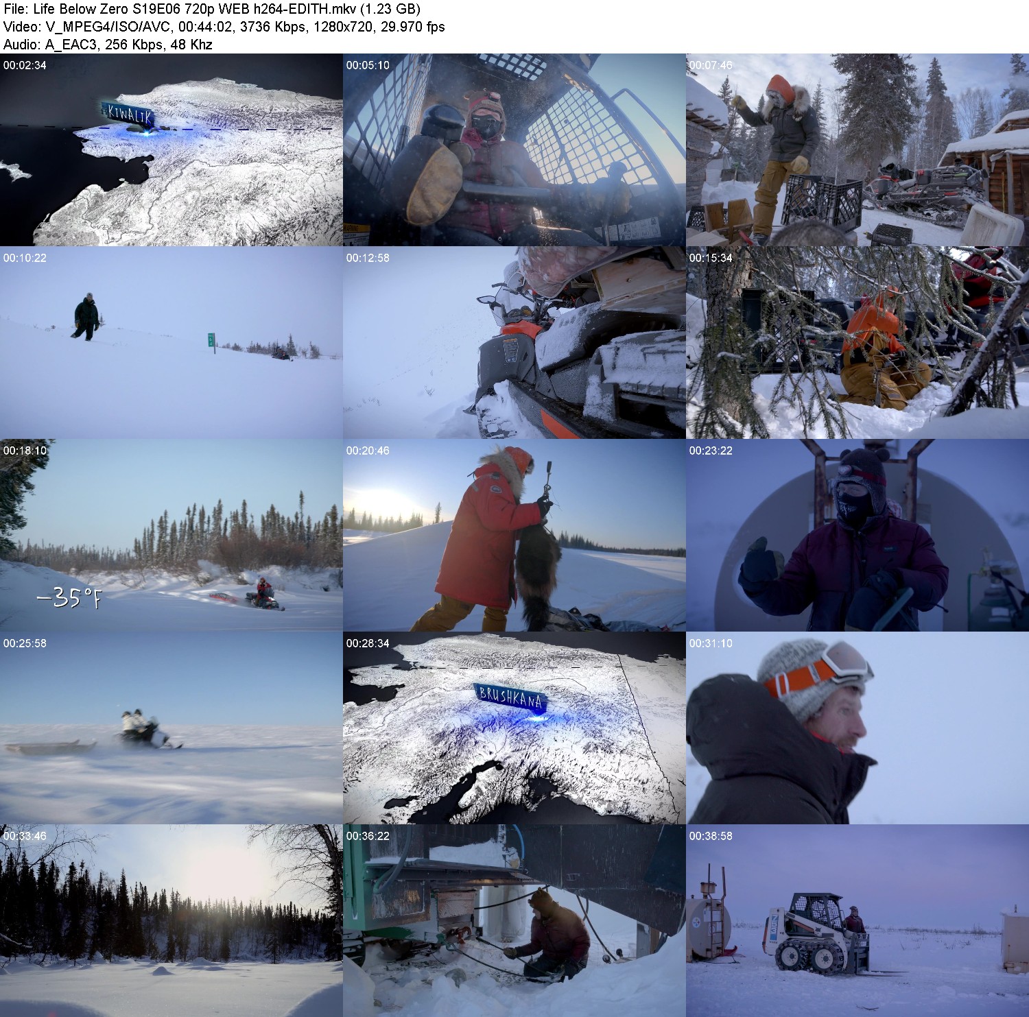 [Image: 2qaapi1x81pi.jpg]