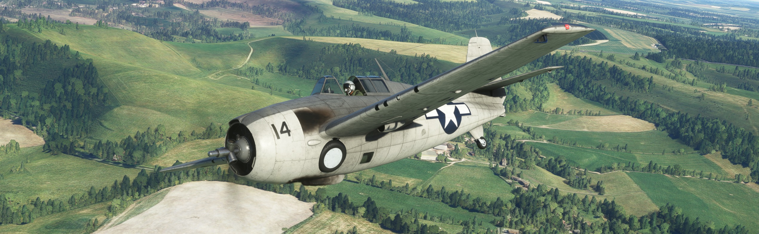 Atlantic-Wildcat.jpg