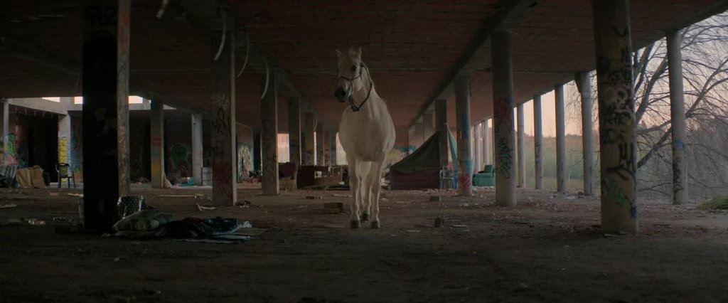 [Image: r87yx8yba3av.jpg]