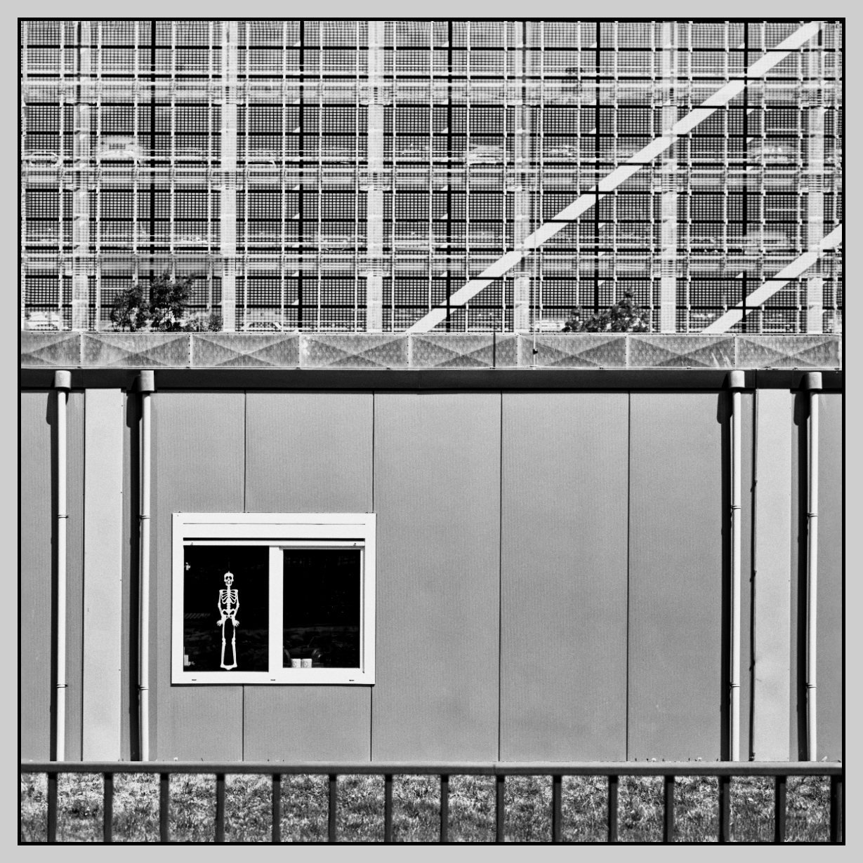 Fotografie