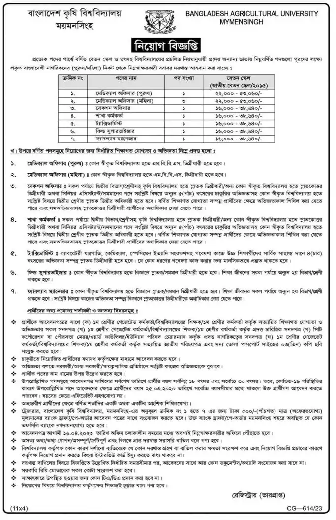 Bangladesh Agricultural University Job Circular 2024