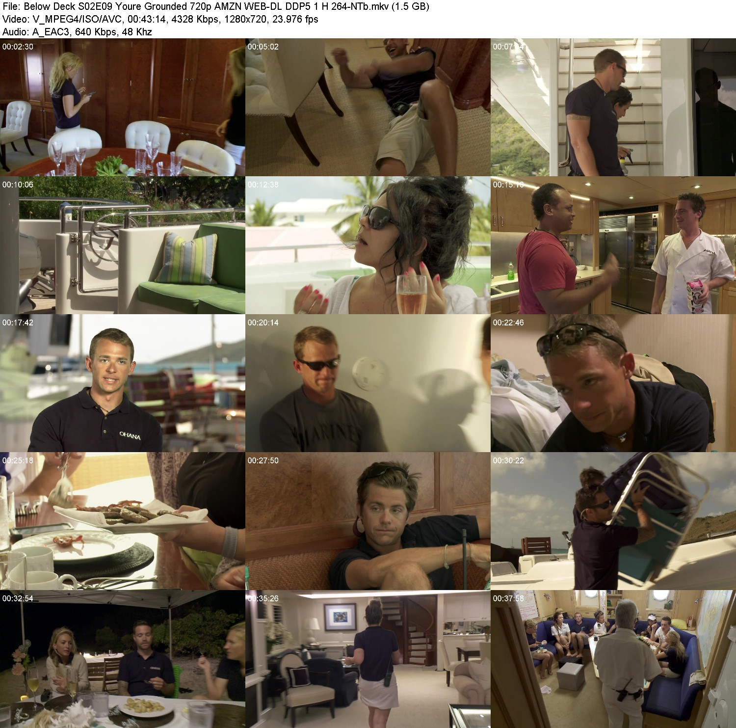 [Image: 1fk53ih3zowk.jpg]