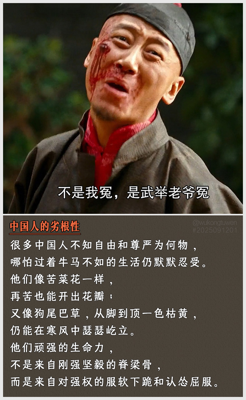 https://i.postimg.cc/Chc5Kbvw/2025091201.jpg