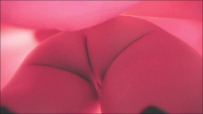 [Image: UP9915042644.jpg]