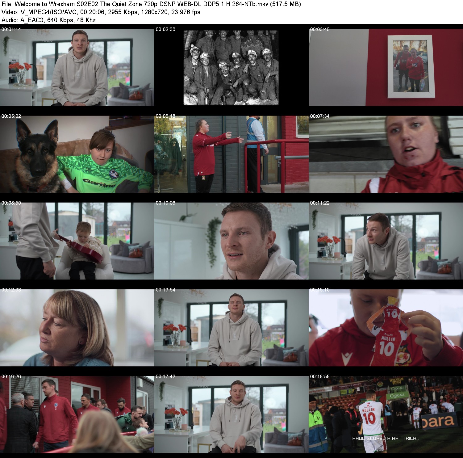 [Image: 93dcwf61xlzy.jpg]