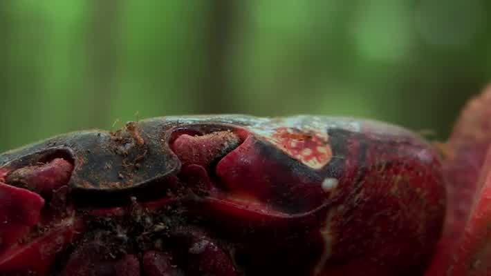 [Image: 70nugpjgl97n.jpg]