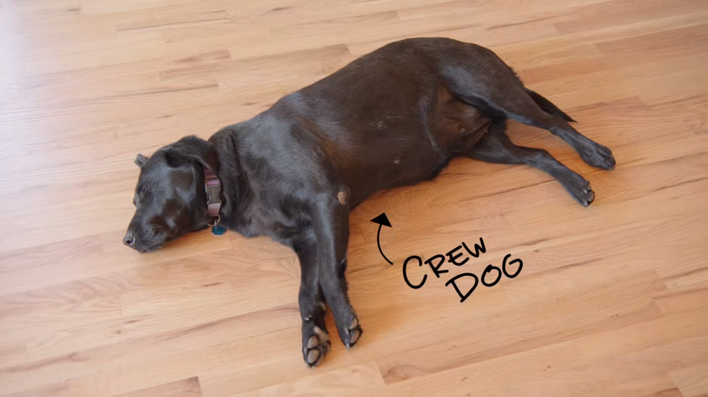 [Image: x30cou8i5egj.png]