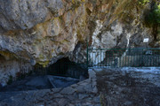 Kephalobryso-(11)