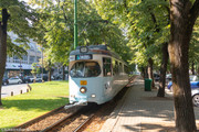 IMG-7443