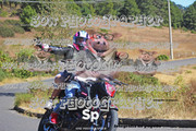 IMG-2534