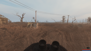 ssq-user-08-30-24-18-45-43-marsh.png