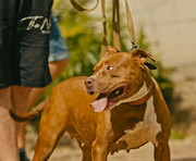 Screenshot_20230710_170159_Gallery