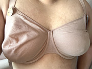 IMG-0463