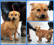 Be-Funky-collage-19.jpg&key=8a8396141ec4