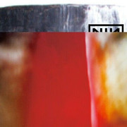 IMG-4447