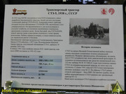 DSCN8447