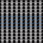 [Image: 125183689-2496276430674000-2512190359896953671-o.jpg]