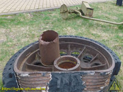 DSCN6984