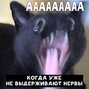 1573132267193217999.jpg