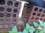 IMG-3569