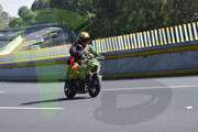 DSC-0053