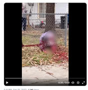 Screenshot Capture - 2023-09-16 - 02-47-56