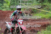 IMG-6358