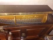 20993fe1-437a-11ef-94c3-9ff615f3d5c7