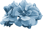 BC-ATaste-Of-Winter-El-72
