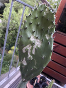 7E5DE82F-3419-4519-BFFD-1C29317ADCF9