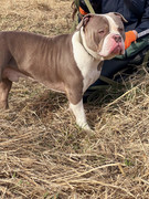 IMG_20230416_015735_095