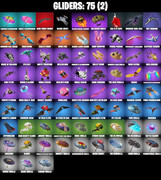 gliders-comp