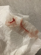 B5F24505-D4BB-4D3F-8105-2BDDDFBE96E2