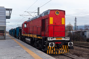 IMG-5435