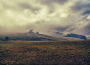 Shazim Creations 2 (76)