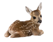 Tumblr l 501333037000891